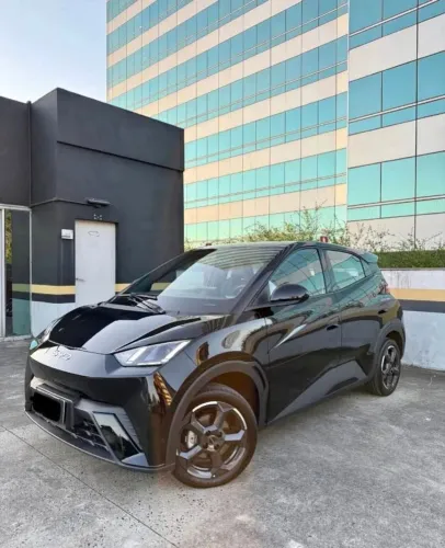 BYD Dolphin Mini (Elétrico) 2025