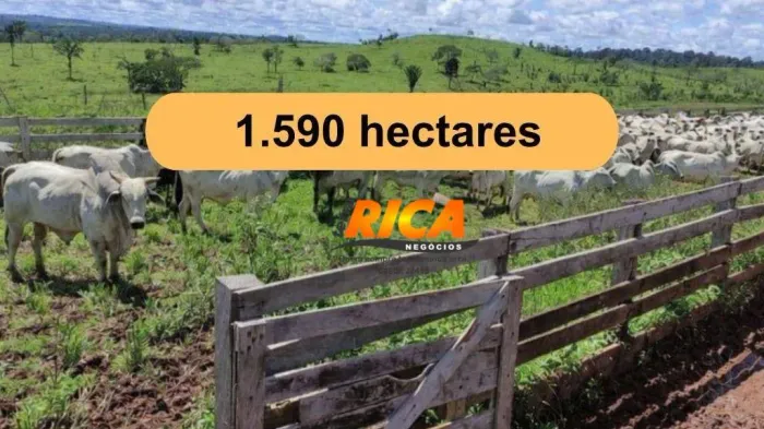 Vende-se Excelente fazenda com 1.590 hectares no município de Apuí-AM