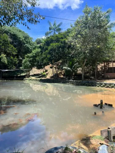Vendo sítio paricatuba