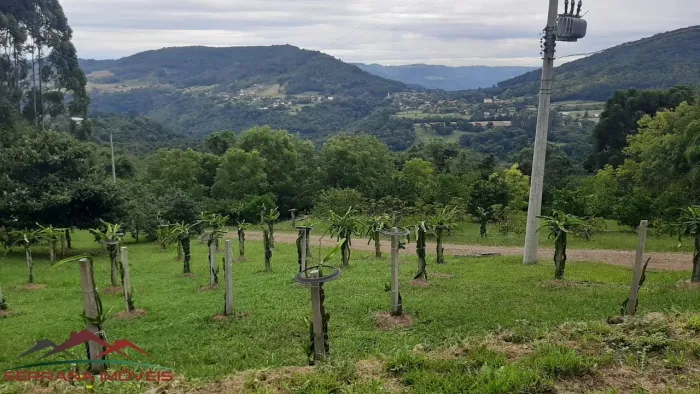 CHACARA RURAL em Nova Petrópolis - RS, Linha Imperial