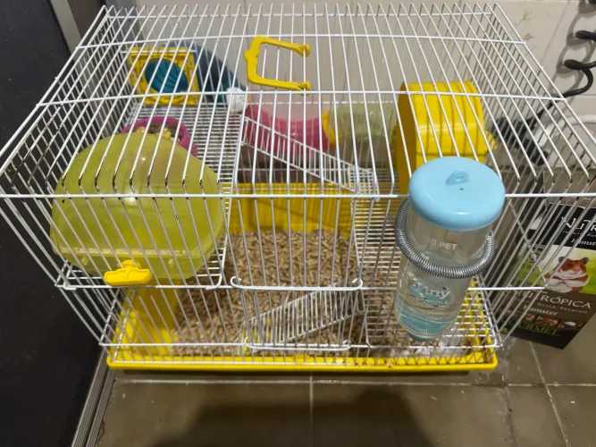 Hamster com Gaiola e tudo 