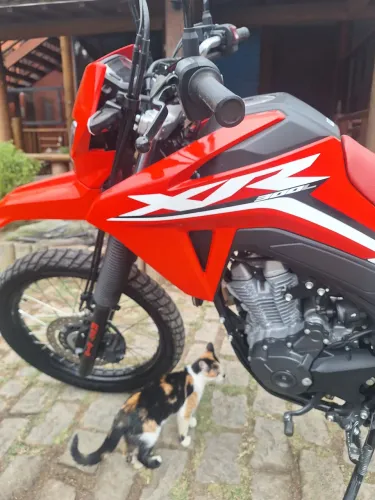 Honda Tornado XR 300