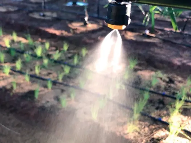 Nebulizadores p/ Irrigação / Orquídeas / Estufas / Climatização de Ambientes NA-1 - 25 Uni