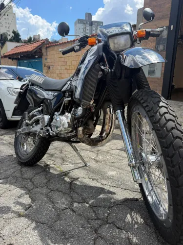 DT 200R mosca branca