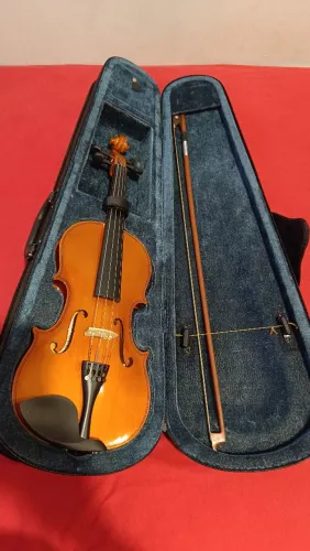 Violino Vivace