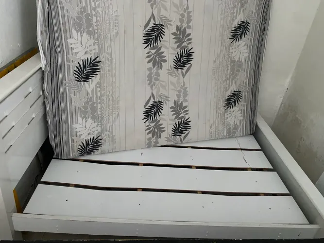 Cama