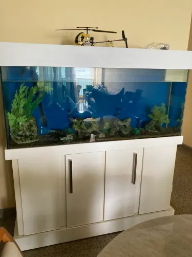 Vendo aquário gigante todo equipado 