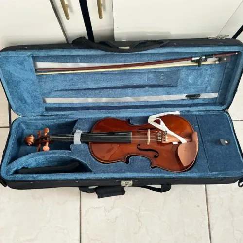 Violino Eagle 4/4 VE441