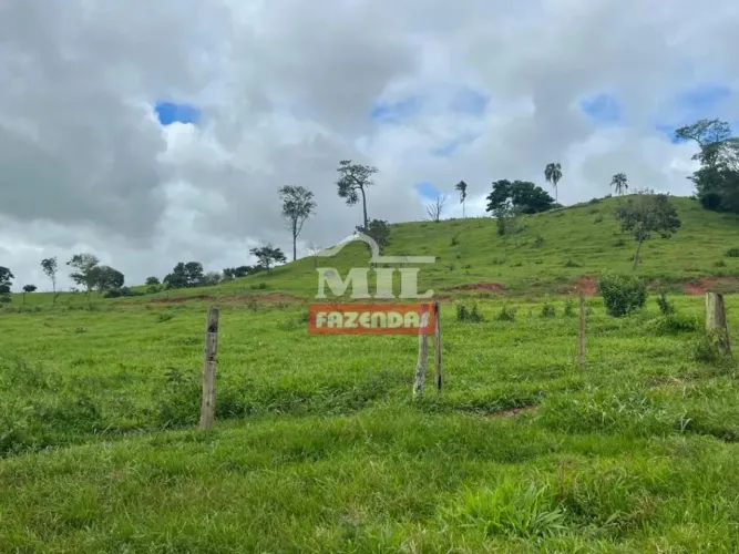 Chacara 4 alqueires (19,36 hectares) Inhumas - Go