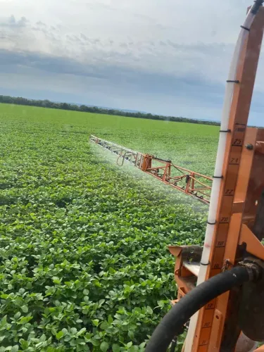 Faz 488 Alq plantando 930 hec planta 1310 hec