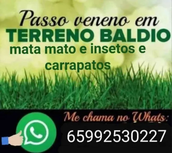 Passo veneno em mato 