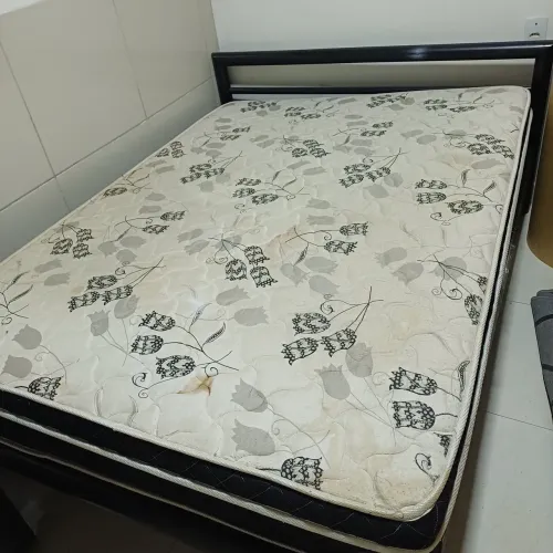 Cama