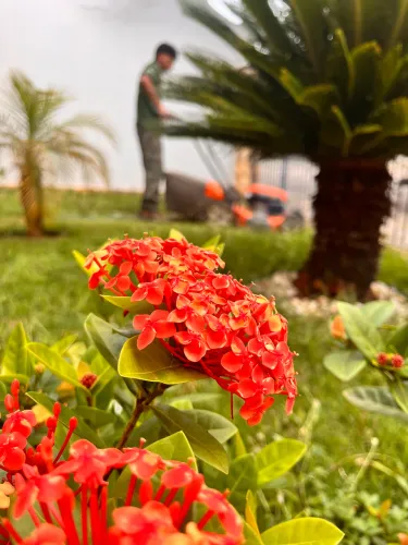 Jardineiro de Sorocaba e cidades próximas