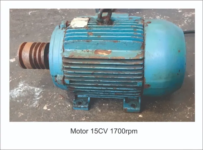 Motor trifásico