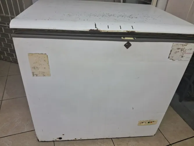 Freezer horizontal