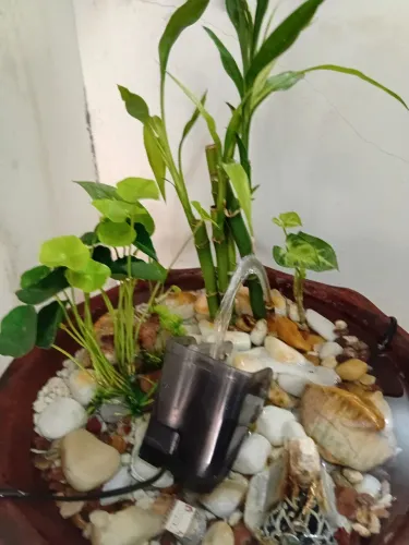 Fonte completa
