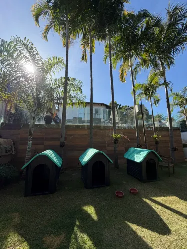 Casinha de Plástico GRANDE