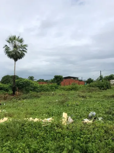 Lotes De 4X17,60 No Bairro Granja Lisboa, Por Apenas R$ 15 Mil, Possui Contrato, Aceita Ca