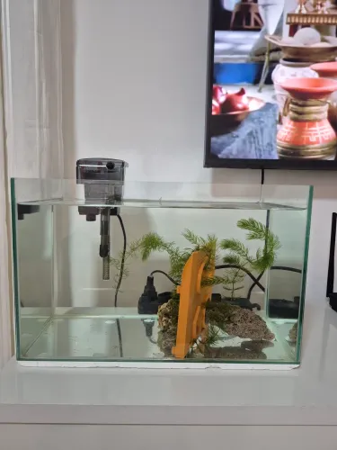 Aquário 20L