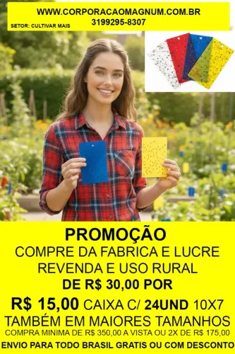 Compre e venda lucre de casa