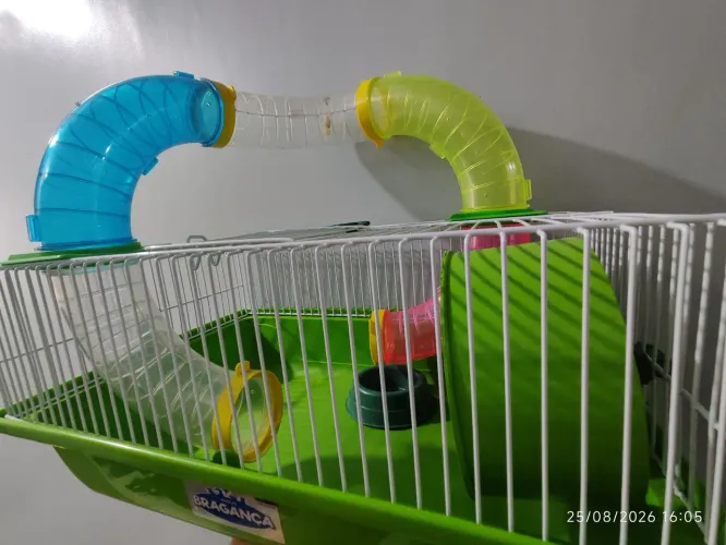 Casa para hamster ?