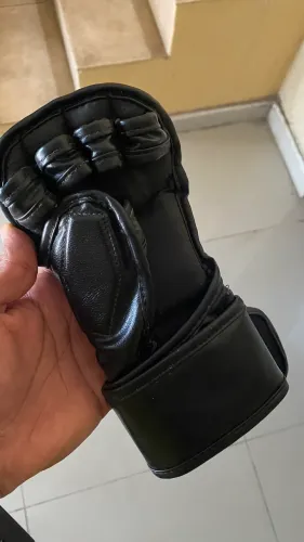 Lucas MMA Rudel novas