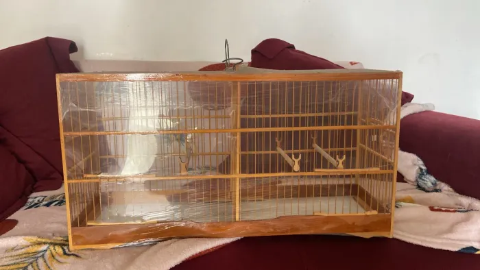 Voador gaiola 