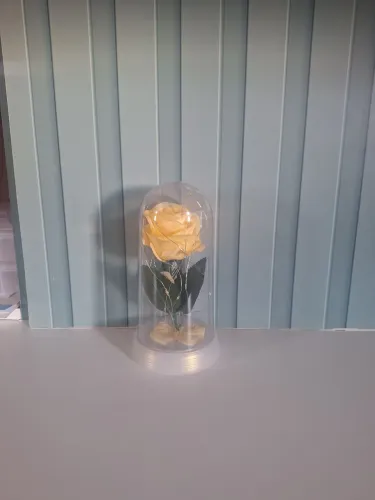 Rosa com led