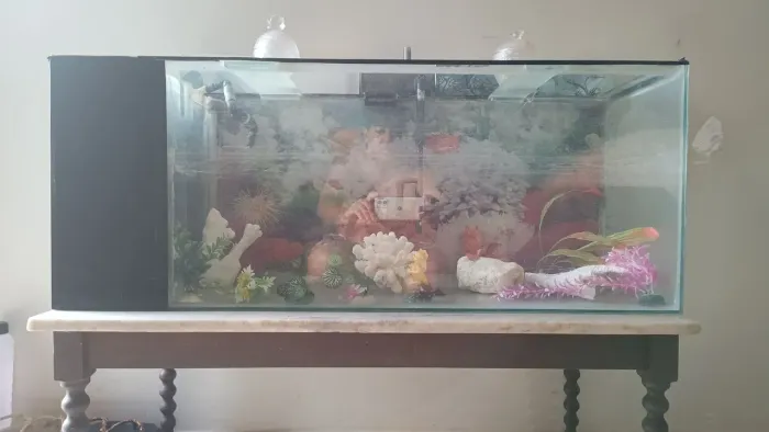 Aquário de 1m c duas bombas e acessórios.