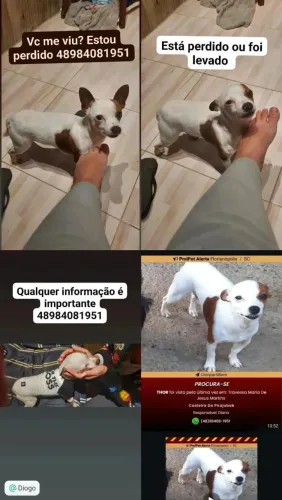 Procuro pago recompensa