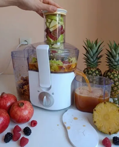 Juicer Philips Walita - Centrifuga Suco Natural e Fresquinho em Segundos!