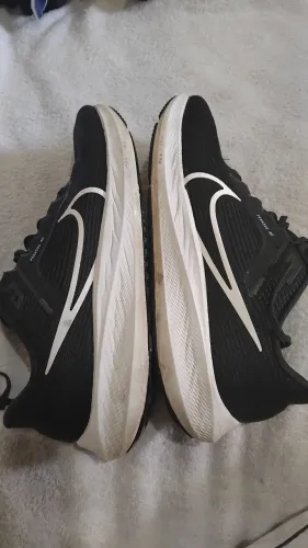 NIKE PEGASUS 42