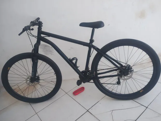 ARO 29