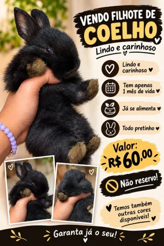 Vendo filhote de coelho
