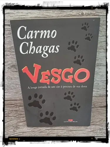 Livro: Vesgo - A Longa Jornada De Um Cão À Procura de Sua Dona