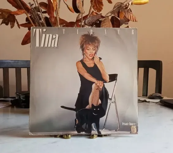 LP Vinil / Tina Turner / Private Dancer / 1984 / com encarte