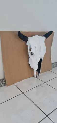 Caveira de Boi