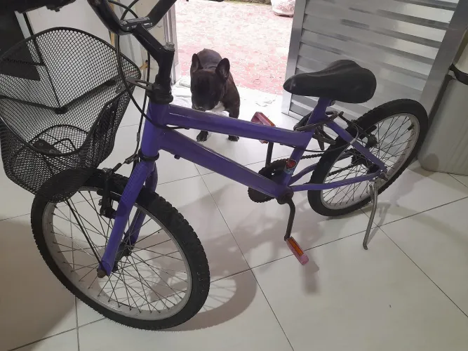 Bicicleta Aro 20 Roxa com Cesta