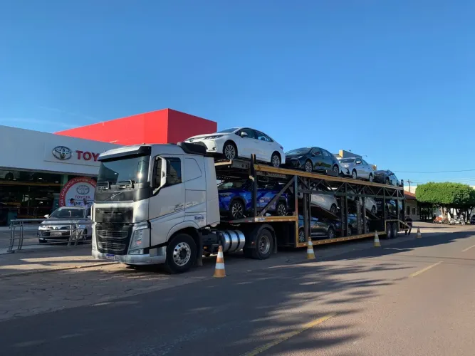 Transporte de Veiculos Cegonha MS/SP/GO/RJ/SC/MG/RS