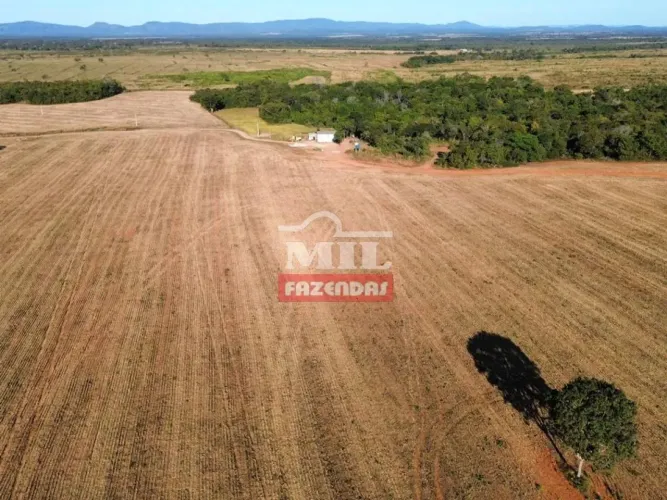 Fazenda 180 alqueires (871,2 hectares) Talismã - To