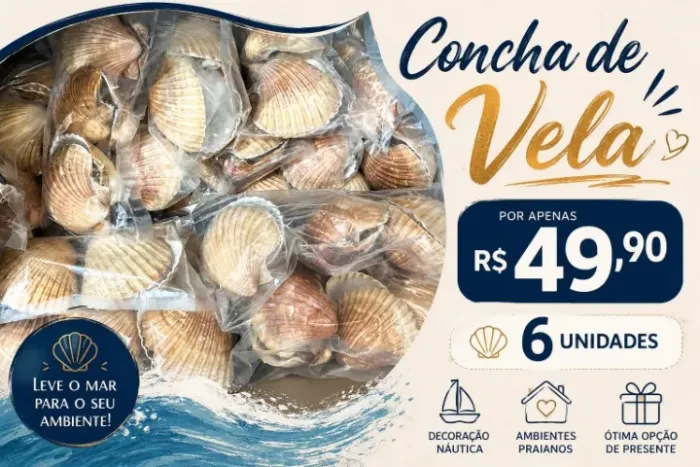 Conchas do Mar decorativas