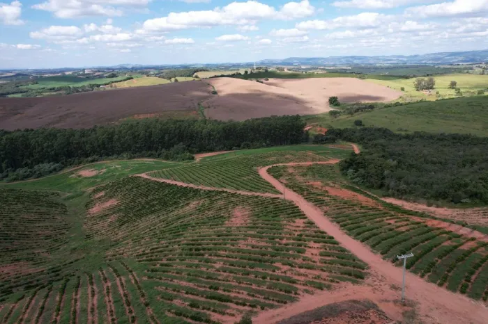 Fazenda à venda em Careaçu-MG: 2 quartos, 1 banheiro, 2 vagas de garagem e 1.260.000,00 m²