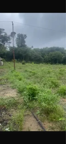 terreno no ramal do pau rosa 50 de frente por 150 de fundo BR174 fácil acesso