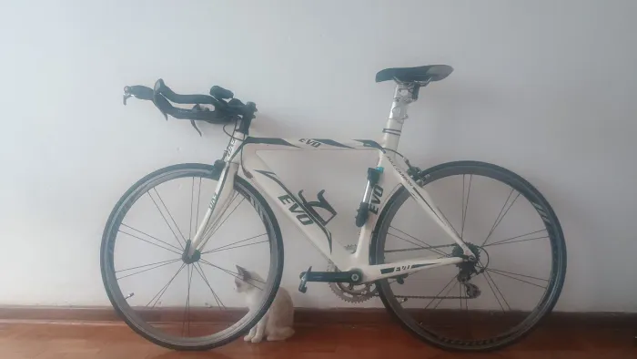 Bike Speed Triathlon