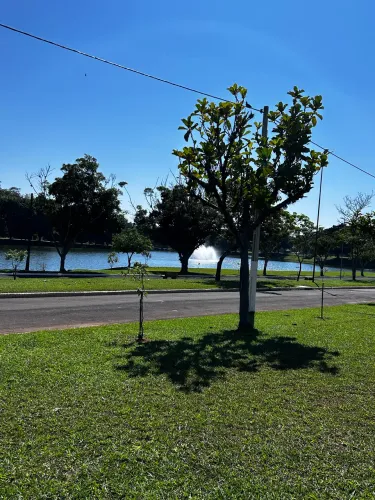 Jazigo no Acácias em Campinas