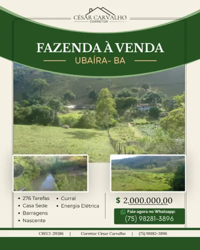 FAZENDA EM UBAÍRA - 276 TAREFAS