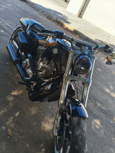V ROD MUSCLE A melhor HARLEY