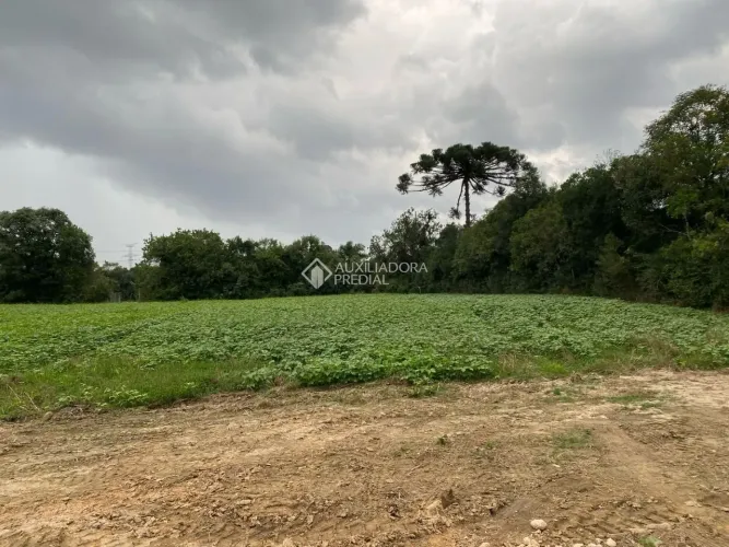 Chácara à venda, 20148 m² por R$ 700.000,00 - Felpudo - Campo Largo/PR