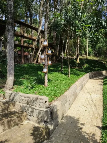 Jardim, jardinagem paisagismo e reformas!