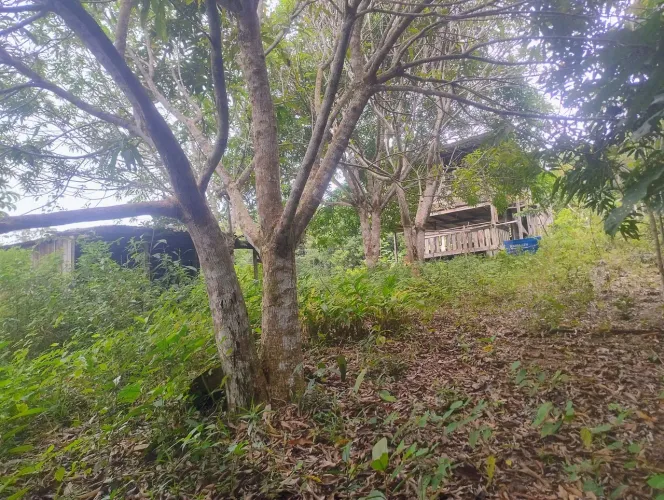Sítio muito bom pra relaxar